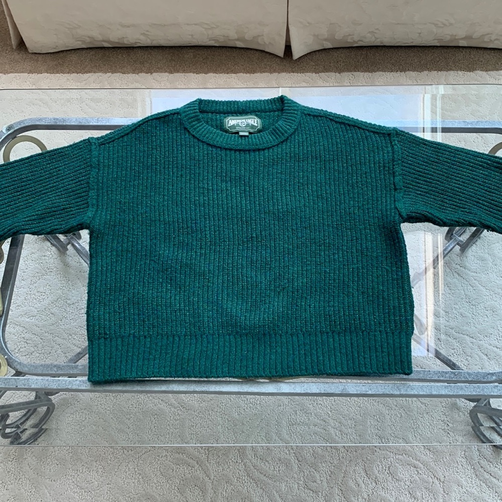 Beautiful American eagle green crew neck